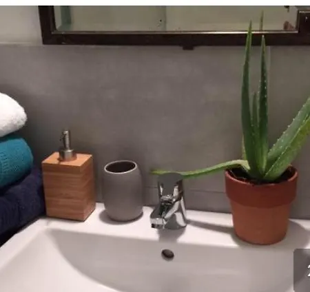 Fiore Delle 5 Terre Maison d'hôtes La Spezia